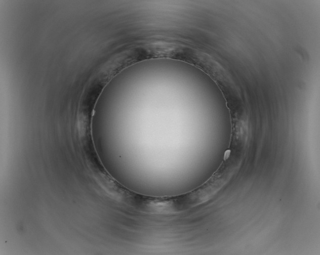 X0000111420283200907131209