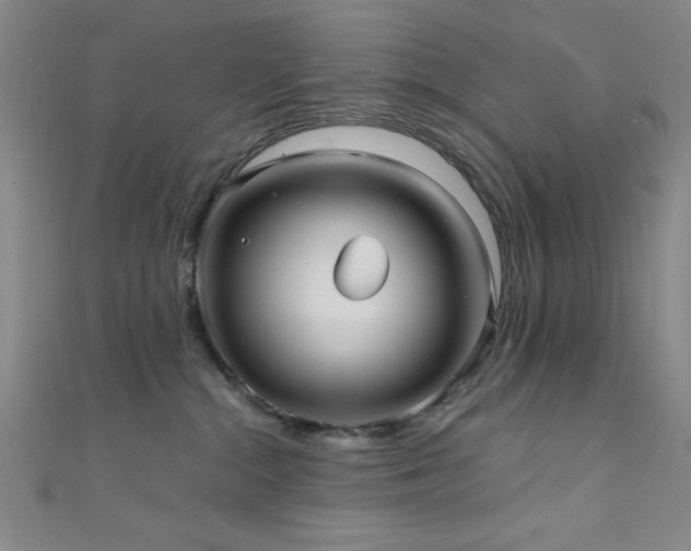 X0000111420284200907131209