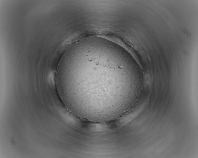 X0000111420286200907131209