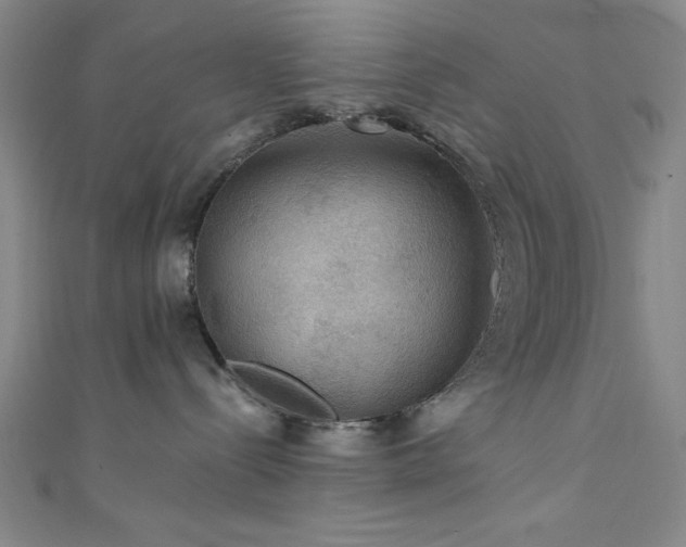 X0000111420288200907131209