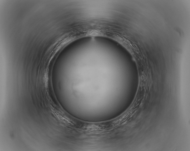 X0000111420290200907131208