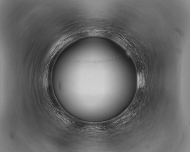 X0000111420291200907131208