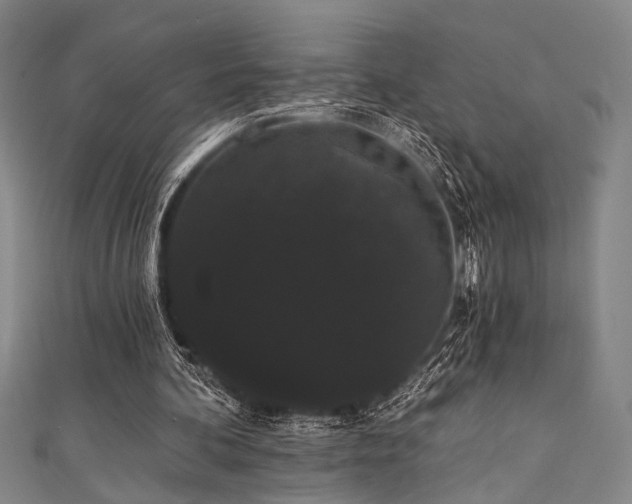 X0000111420292200907131208