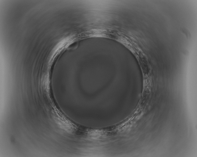 X0000111420293200907131208