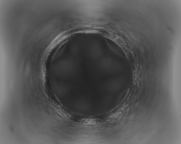 X0000111420295200907131208