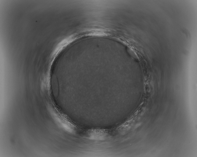 X0000111420296200907131208