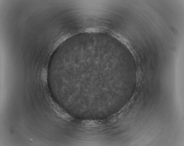 X0000111420297200907131208