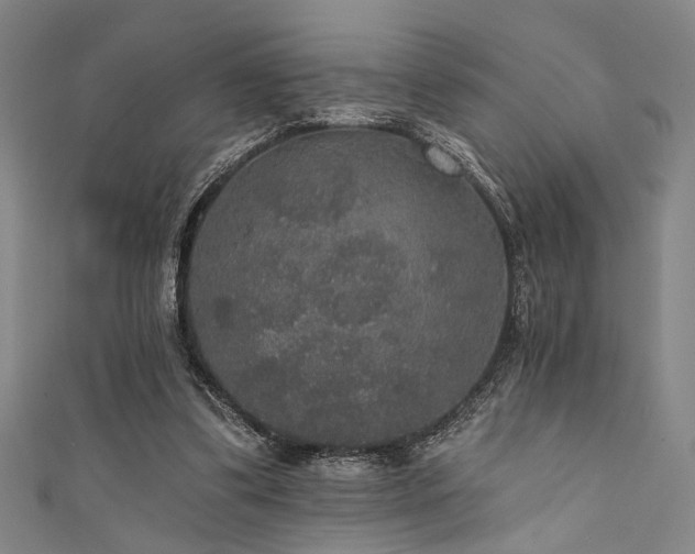 X0000111420299200907131208