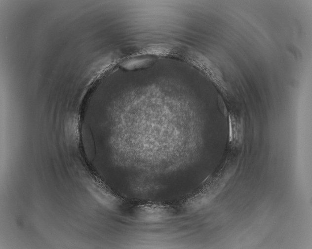 X0000111420300200907131208