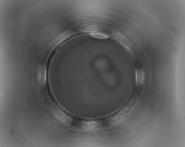 X0000111420301200907131208