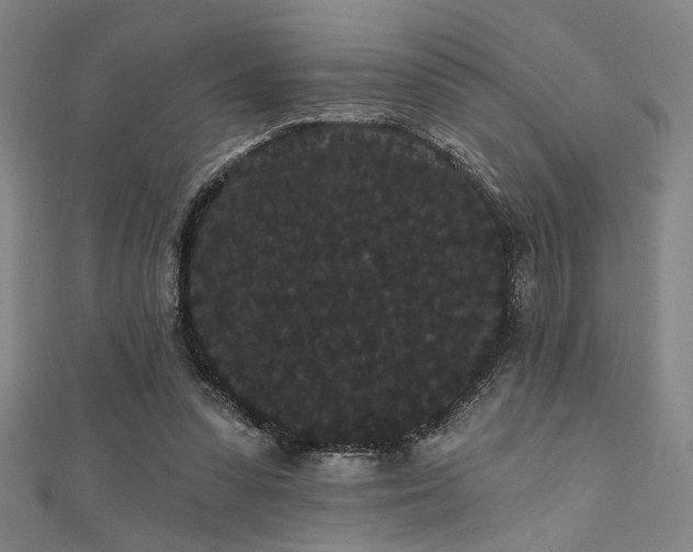 X0000111420303200907131208