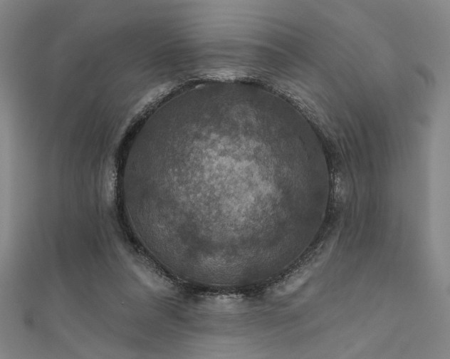 X0000111420304200907131208