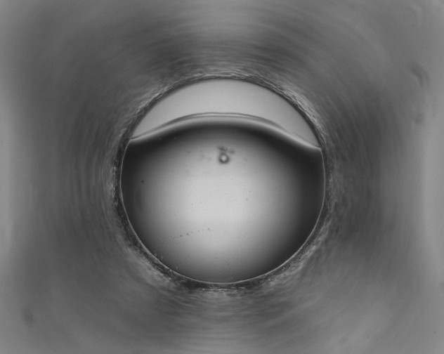 X0000111420305200907131208