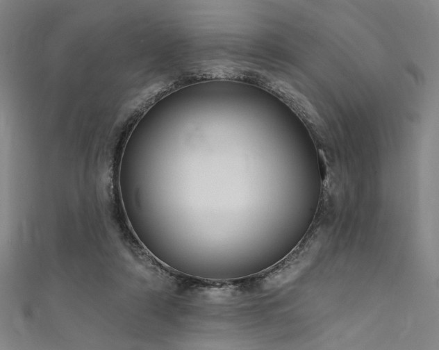 X0000111420306200907131208