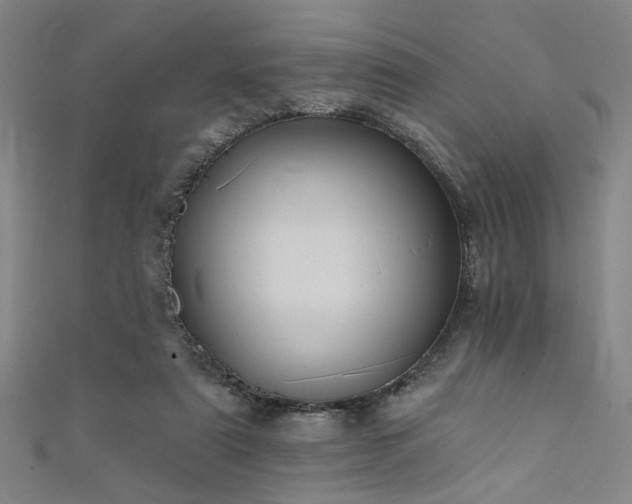 X0000111420307200907131208