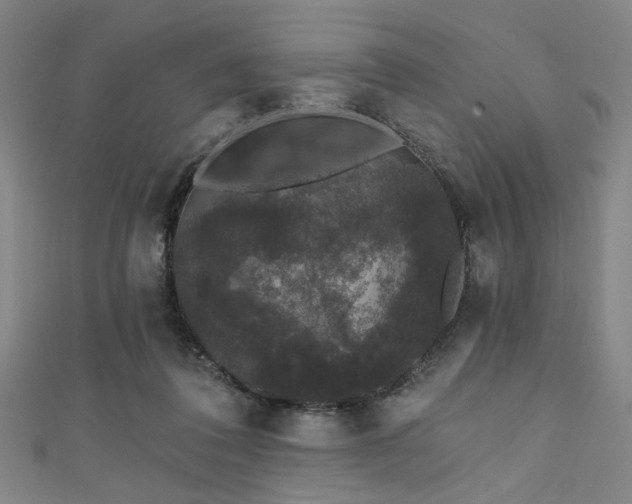 X0000111420308200907131208