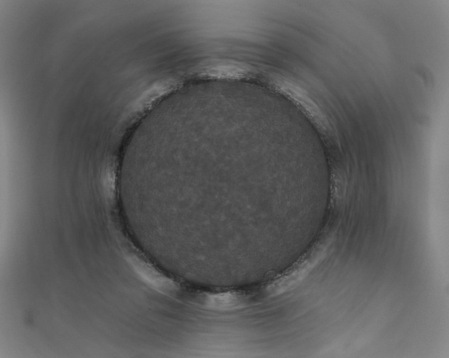 X0000111420309200907131208