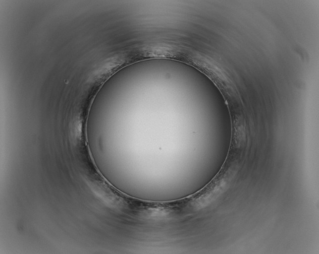 X0000111420310200907131208