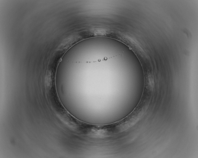 X0000111420311200907131208