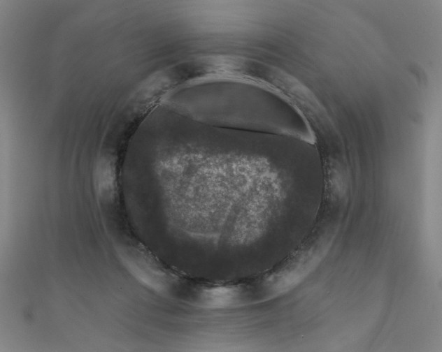 X0000111420312200907131208