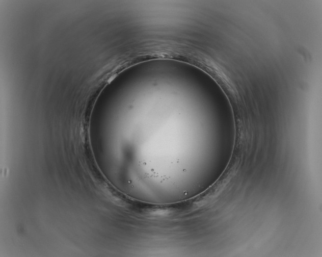 X0000111420313200907131208