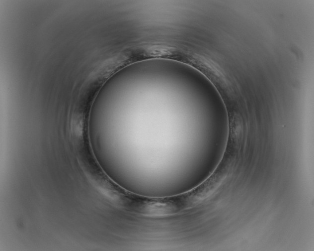 X0000111420315200907131208