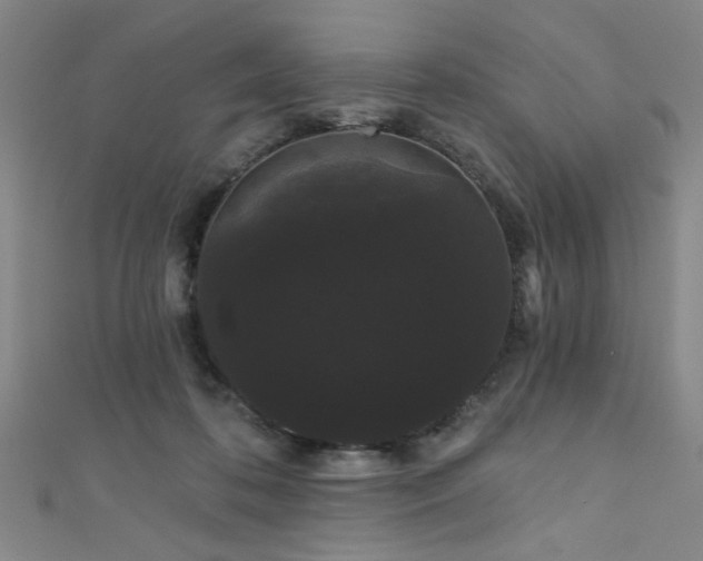 X0000111420316200907131208