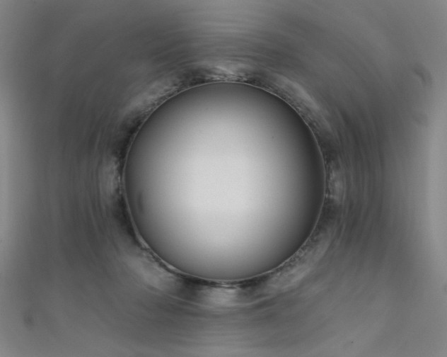 X0000111420318200907131208