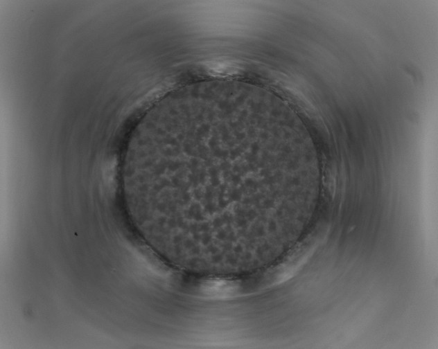 X0000111420319200907131208