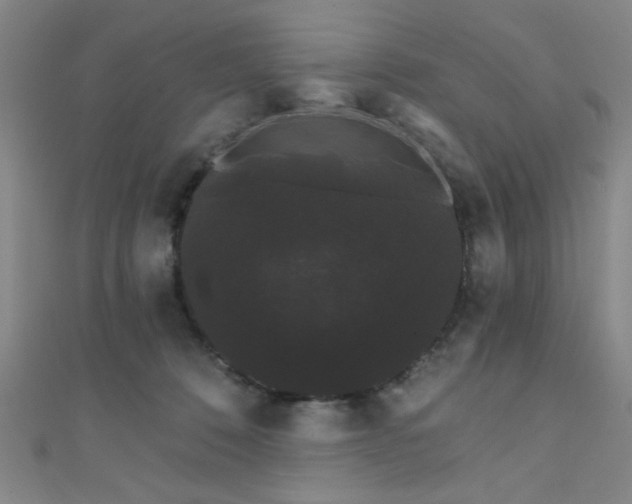 X0000111420320200907131208