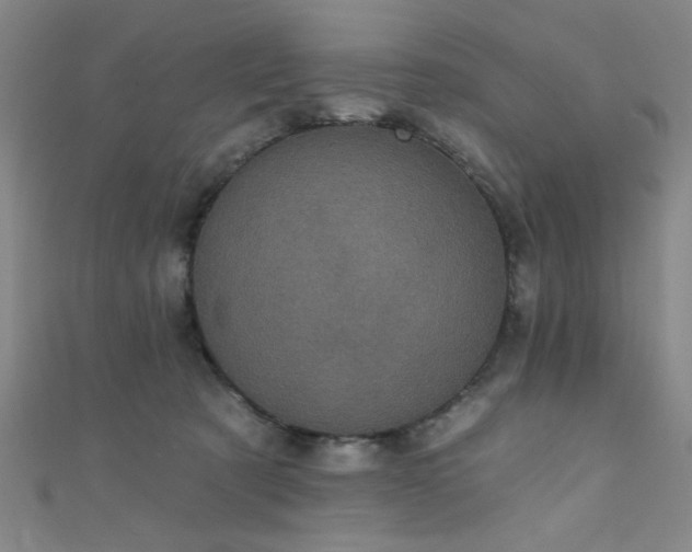 X0000111420321200907131208