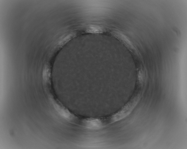 X0000111420322200907131208