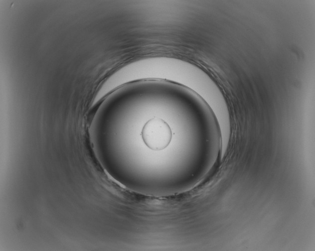 X0000111420325200907131207