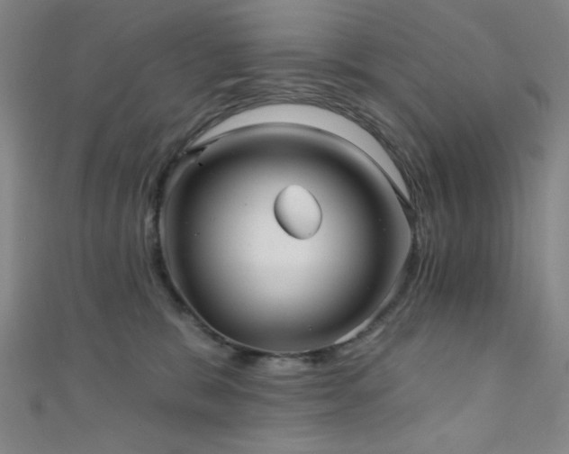 X0000111420327200907131207