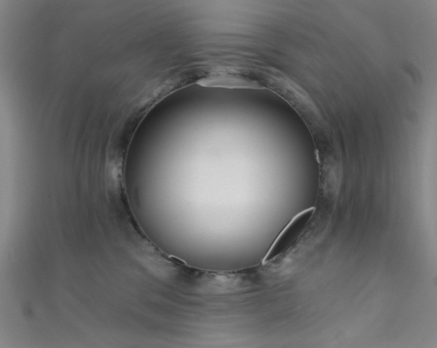 X0000111420329200907131207