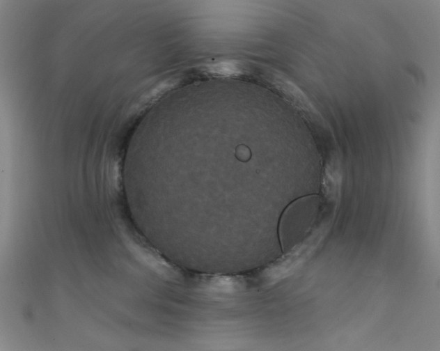 X0000111420330200907131207