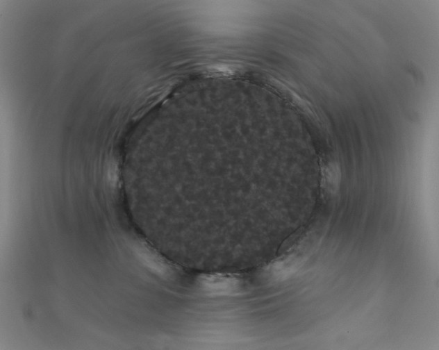 X0000111420331200907131207