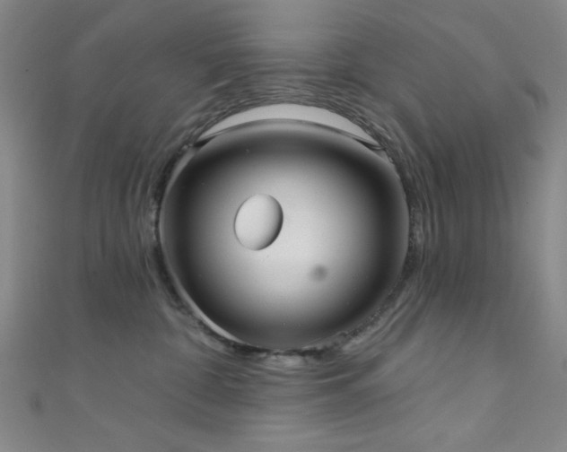 X0000111420332200907131207