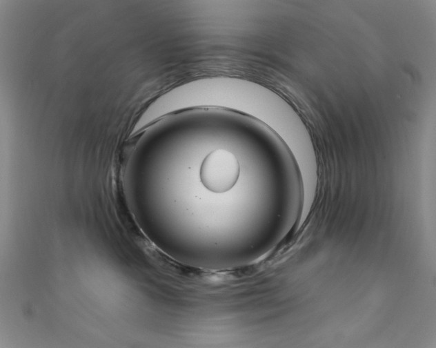 X0000111420333200907131207