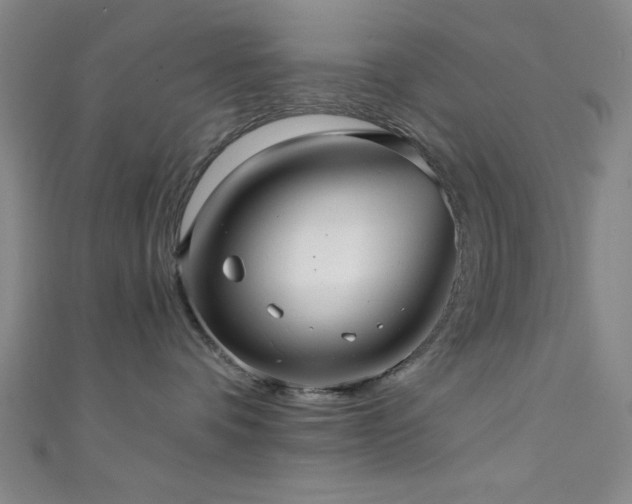 X0000111420336200907131207