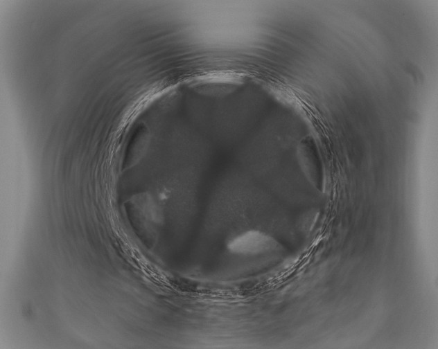 X0000111420337200907131207