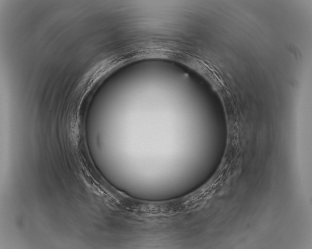 X0000111420338200907131207