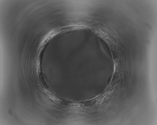 X0000111420339200907131207