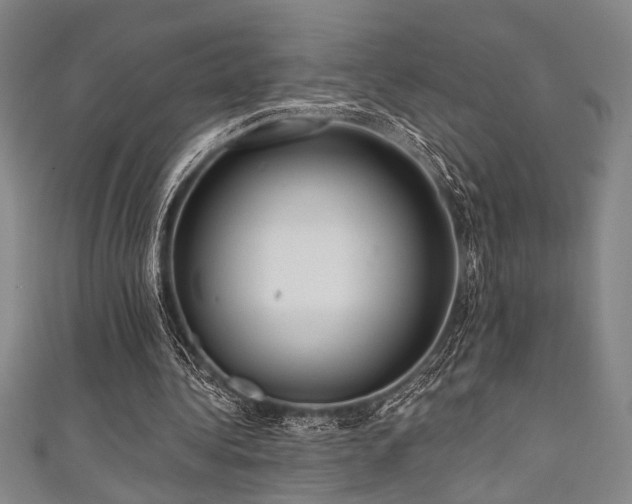 X0000111420340200907131207