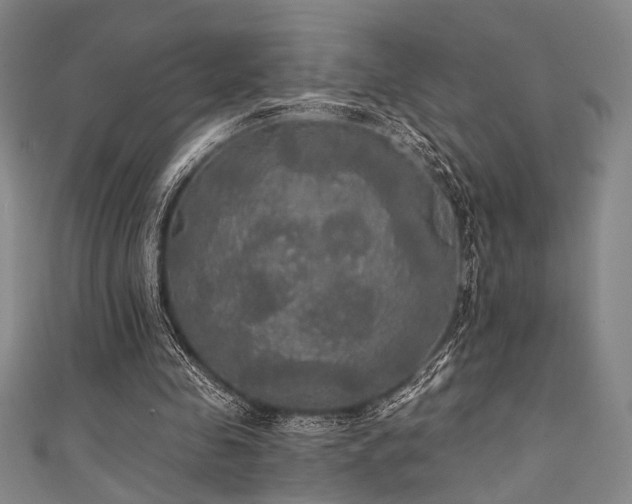 X0000111420341200907131207