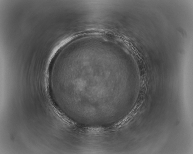 X0000111420342200907131207