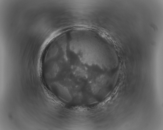 X0000111420343200907131207