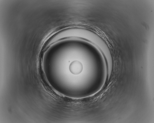 X0000111420344200907131207