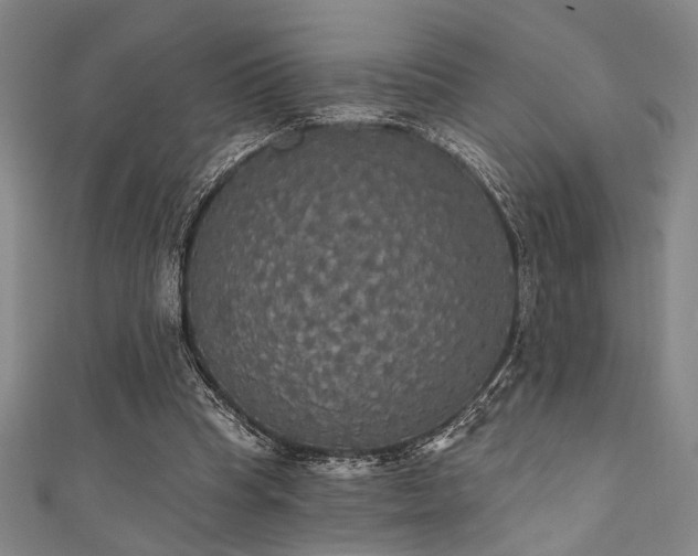 X0000111420345200907131207