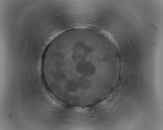 X0000111420346200907131207